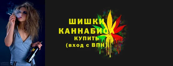 2c-b Краснослободск