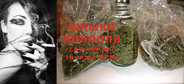гашик Костерёво